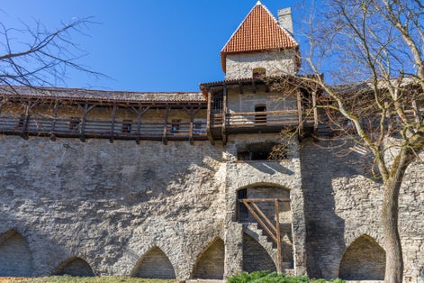 Photo of part of the preserved medieval limestone city wall with watchtower around Upper Town in Danish King's Garden. City of the Hanseatic League of Middle Ages. Tallinn, Estonia.