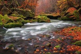 Bohemian Switzerland: Private Day Trip from Prague