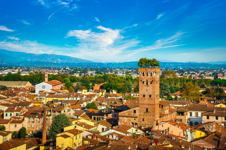 aerial view of city and medieval Guinigi tower and its trees. Tuscany, Italy, Europe.