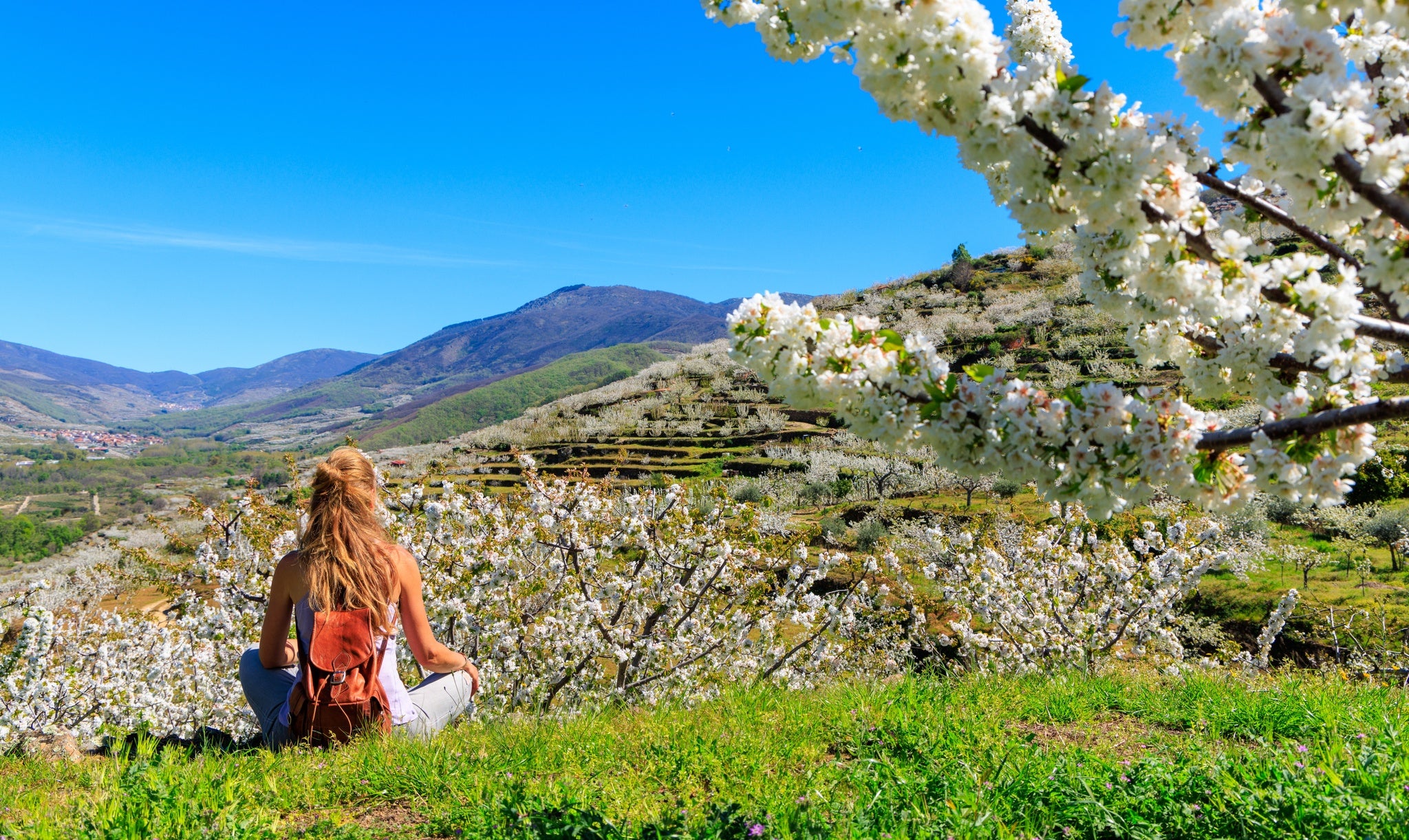 Beautiful panorama of Jerte valley with cherry blossom in Spain.jpg