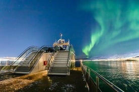 Northern Lights Cruise in Bodø