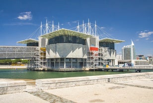 Lisbon Oceanarium