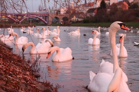 Maribor - city in Slovenia