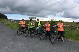 Privat guidet el-cykeltur i Burren