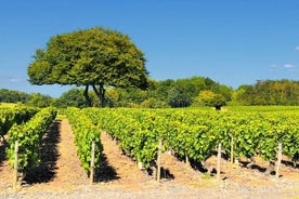 Mezza giornata al Beaujolais