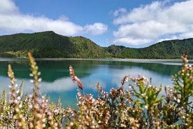 Lagoa do Fogo Visite à pied avec déjeuner de Ponta Delgada