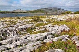 Pedras e histórias caminhada privada. Burren, Co Clare. Guiado. 2 horas.