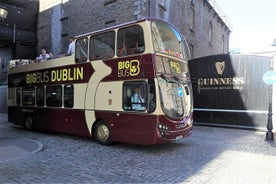 Billet Guinness Storehouse et circuit à arrêts multiples en Big Bus à Dublin