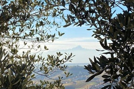 Private tour discovering the Langhe with a local wine expert