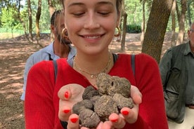 Caça às trufas em San Gimignano e aula de culinária com trufas