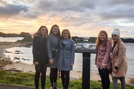 Einkatúrsferð um Giants Causeway og strandlengjuna frá Belfast í lúxus Mercedes