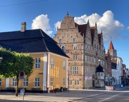 Aalborg panoramic view.