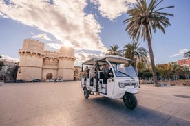 Valencia: 2ja klukkustunda leiðsöguferð um borgina með Tuk-Tuk