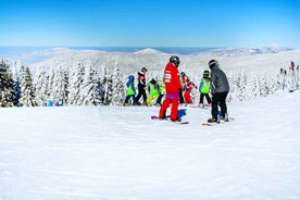 From Bucharest: Ski in Poiana Brasov Day Trip