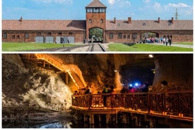 From Krakow: Auschwitz and Wieliczka Salt Mine Full-Day Trip