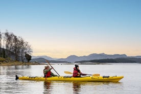 Excursão guiada de caiaque em Bergen