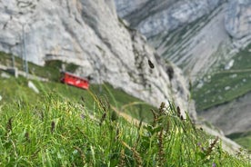 Mont Pilatus avec croisière privée sur le lac des Quatre-Cantons au départ de Lucerne