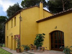 Pisa Holidays Bed & Breakfast