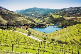 Ganztägige private Weintour durch das Douro-Tal ab Porto