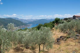 Experiencia de la granja de aceite de oliva a la mesa y breve recorrido a pie por Kotor