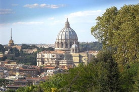 Rome Day Trip from Venice Private Tour by High Speed Train