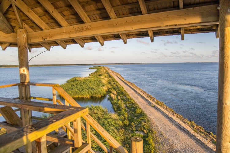 photo of view of Liepaja Horse Island Birdwatch Tower. Liepaja zirgu sala