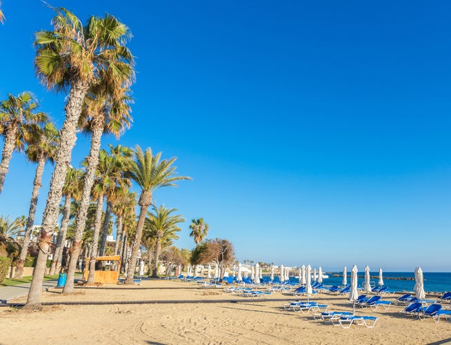 Photo of beautiful beach and palm trees, sunny day in the resort of Paphos, Cyprus.