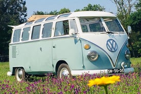 Tour vintage Vw Kombi sendibíll - miðbær 2klst