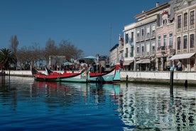 Excursion en bateau à Moliceiro dans la Ria de Aveiro