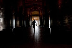 Visite guidée Cleto Chiarli avec dégustation de Lambrusco