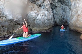 Santorini Stand-Up Paddle e Snorkel Adventure