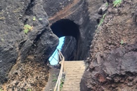 Tour privado de día completo a la isla de Madeira