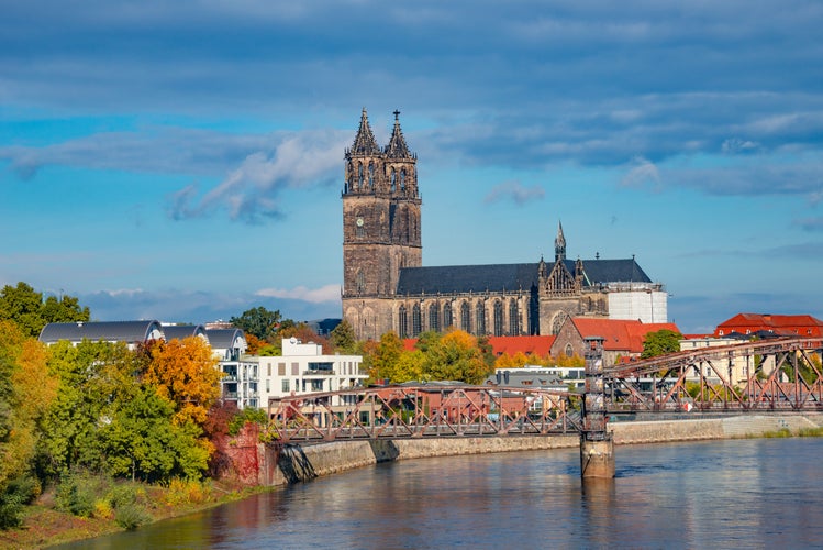 View over Magdeburg historical downtown, Elbe river, city park and the ancient medieval cathedral in golden Autumn colors at blue cloudy sky and sunny day, Magdeburg, Germany