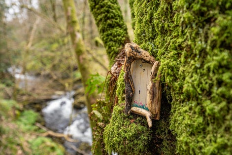 Fairy house on a mossy tree in the Glen Helen public forest, Isle of Man.