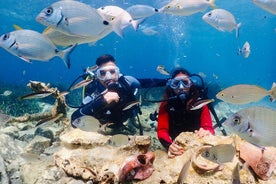 Expérience guidée de plongée sous-marine à Kusadasi