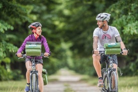 Från Dobbiaco till Bruneck