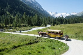 From Lake Como: Tour in St. Moritz and Pontresina 