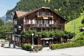 Hotel Restaurant Steinbock