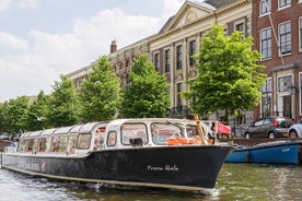 Haarlem : Croisière en bateau de 50 minutes