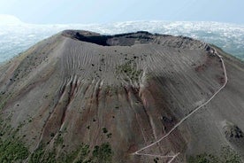 Tour on Vesuvius with wine tasting