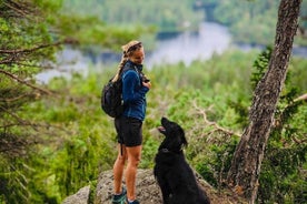 Winter Wonderland Hike & Norwegian Waffles with Local & Dog