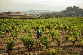 Ganztägiges privates kulturelles und gastronomisches Abenteuer in Rioja