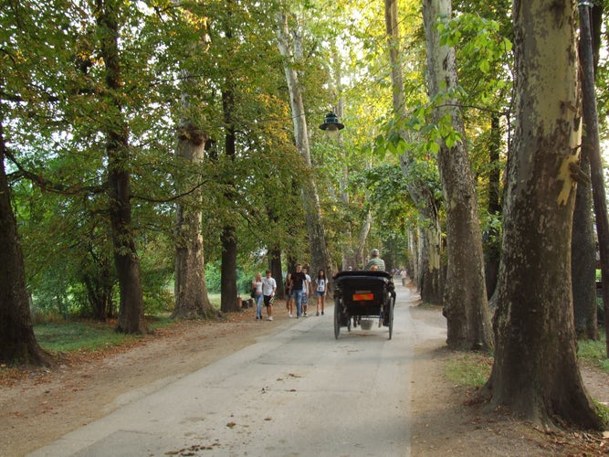 Velika aleja, promenade from Banjski park to Vrelo Bosne picnic area