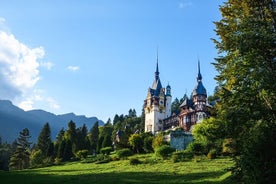 Private Peles and Cantacuzino Castles Wine Tour from Bucharest