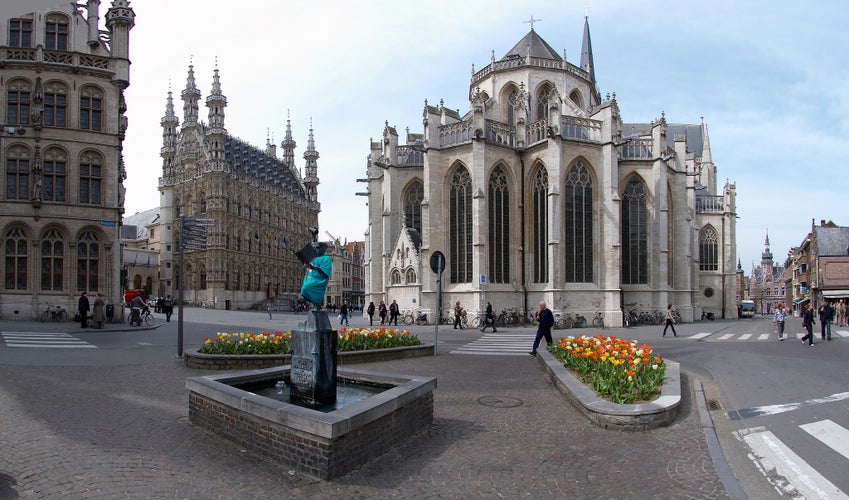 Photo of  Leuven with the townhall and the Collegiale Sint-Pieterskerk.