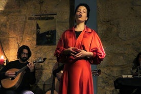 Fado-Dinnershow und Nachtlichttour in Porto