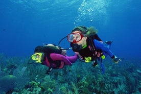 Tour de buceo desde Alanya - Side - Antalya