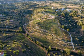 Porches Algarve Vineyard Tour og vinsmagning