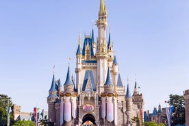 Disneyland Paris Theme Park [E-Voucher]