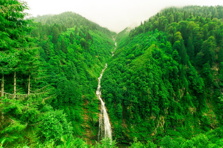 Photo of Gelin Tulu (Bridal Veil) Waterfall. Water falls over 1.5 km. Its located at plateau Ayder of Rize and possible to visit only summer season because of hard weather condition, Turkey.